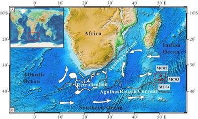 Calcareous nannofossil records and the migration of the Agulhas Return Current during the last 40 kyr